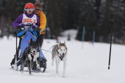 Lenzerheide 2013